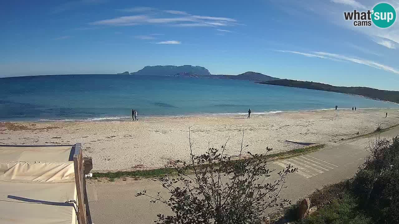 La webcam spiaggia Pittulongu vicino Olbia – Sardegna