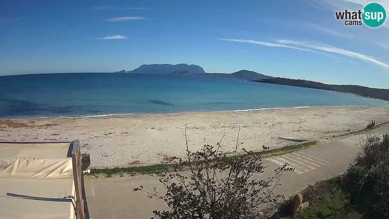 The beach of Pittulongu live webcam Olbia – Sardinia – Italy