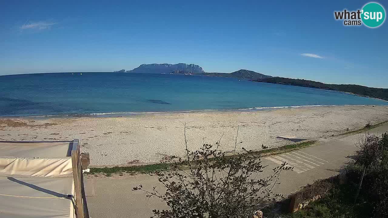 Plaža Pittulongu spletna kamera v živo Olbia – Sardinija – Italija