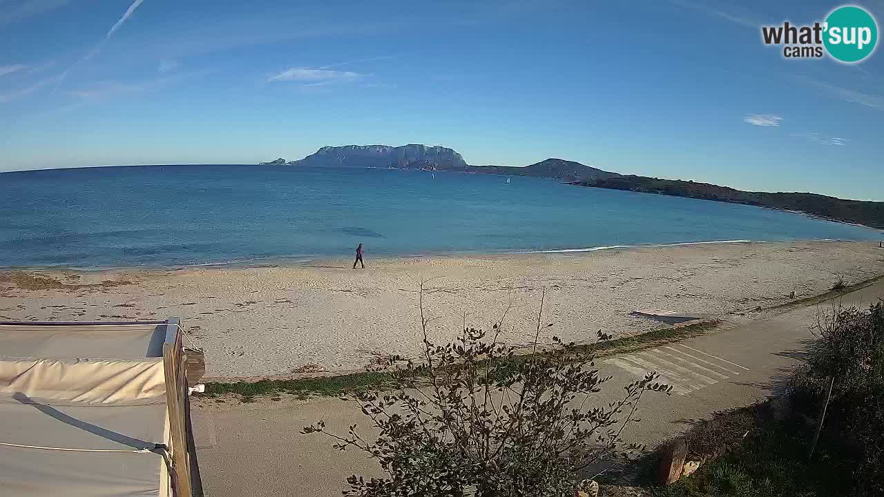 Plaža Pittulongu spletna kamera v živo Olbia – Sardinija – Italija