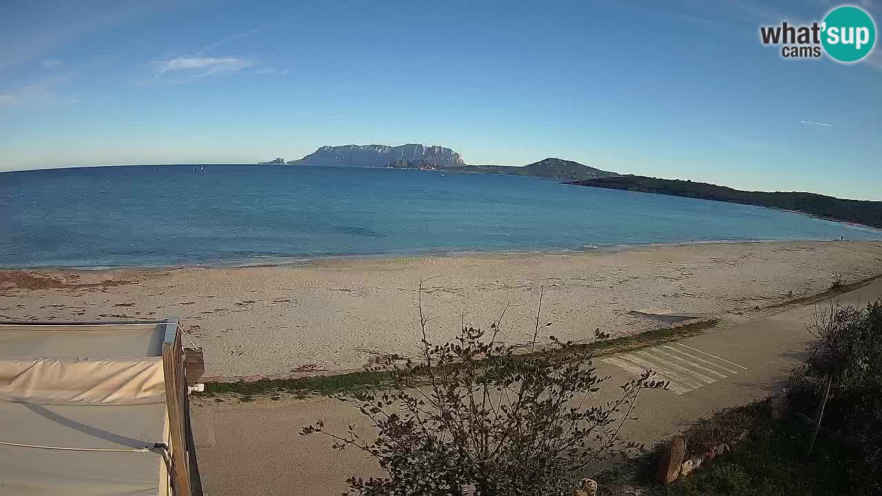 Plaža Pittulongu spletna kamera v živo Olbia – Sardinija – Italija