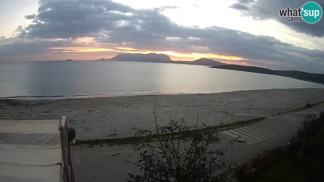 La playa de Pittulongu webcam en vivo Olbia – Cerdeña – Italia