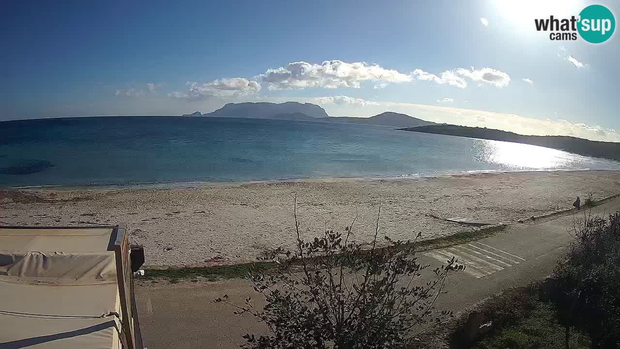 La playa de Pittulongu webcam en vivo Olbia – Cerdeña – Italia