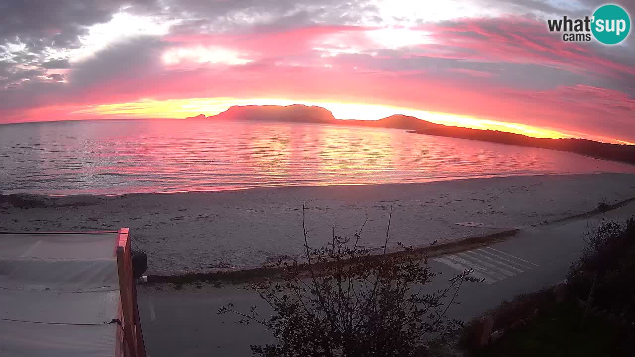 La playa de Pittulongu webcam en vivo Olbia – Cerdeña – Italia