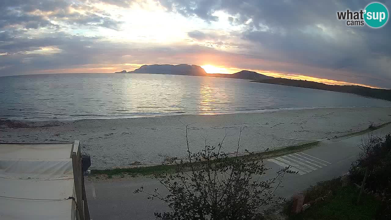 La playa de Pittulongu webcam en vivo Olbia – Cerdeña – Italia