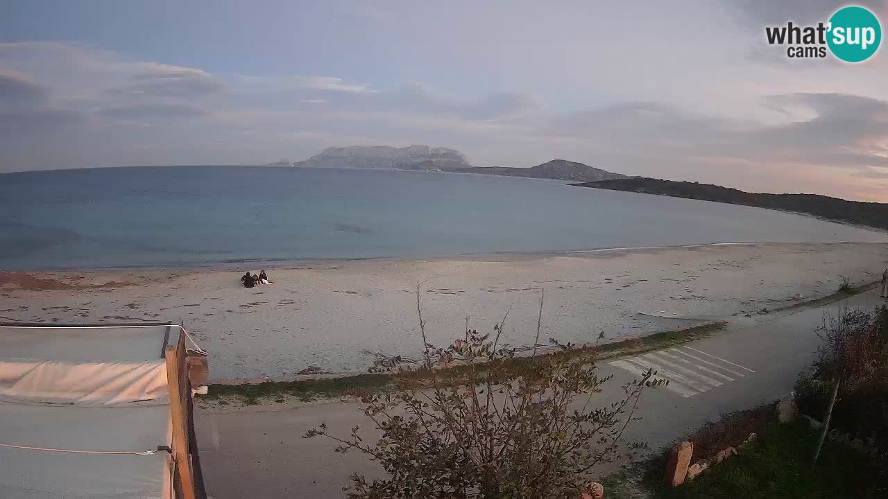 Der Strand von Pittulongu Live-Webcam Olbia – Sardinien – Italien