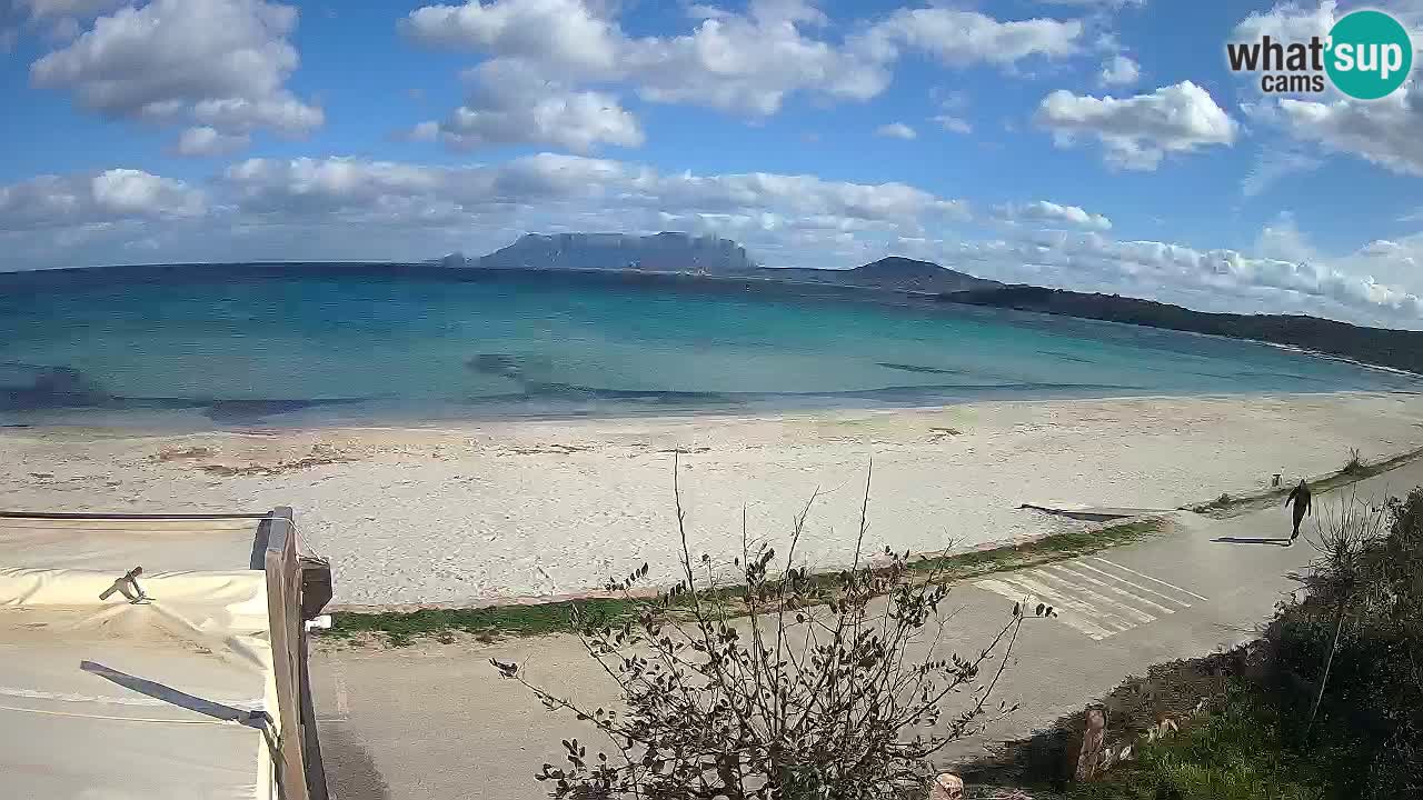 Der Strand von Pittulongu Live-Webcam Olbia – Sardinien – Italien