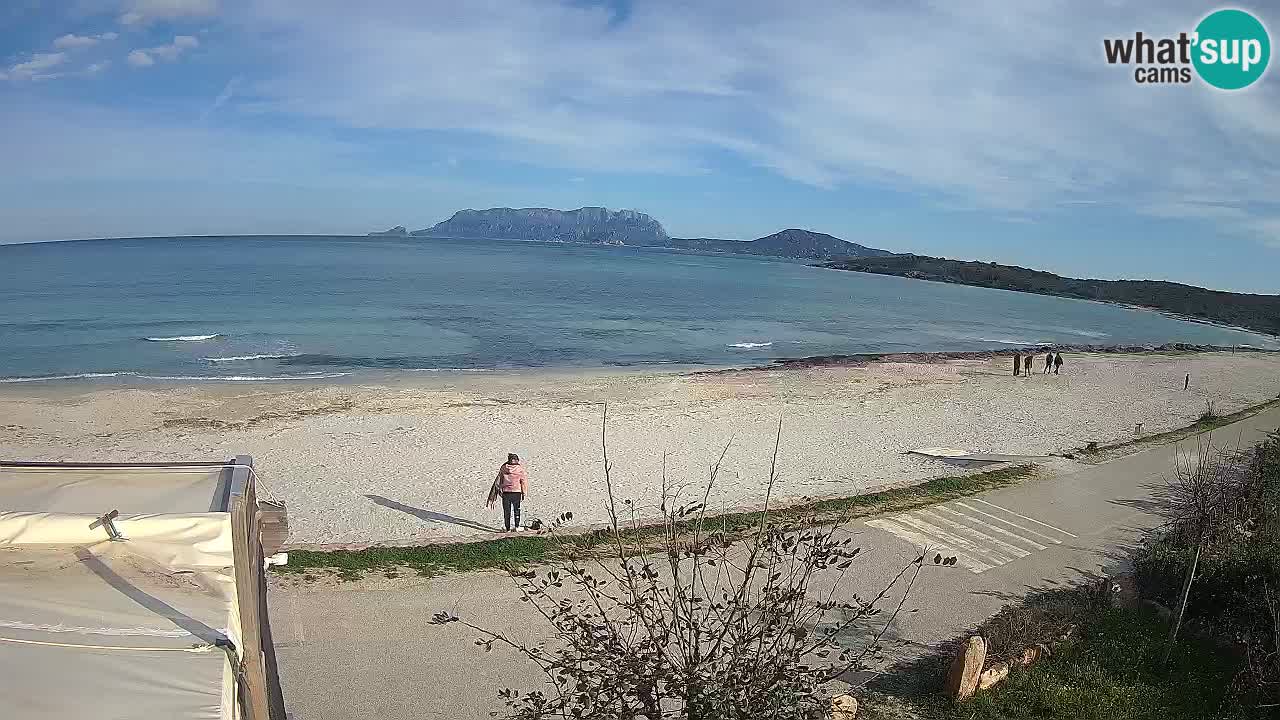 Der Strand von Pittulongu Live-Webcam Olbia – Sardinien – Italien