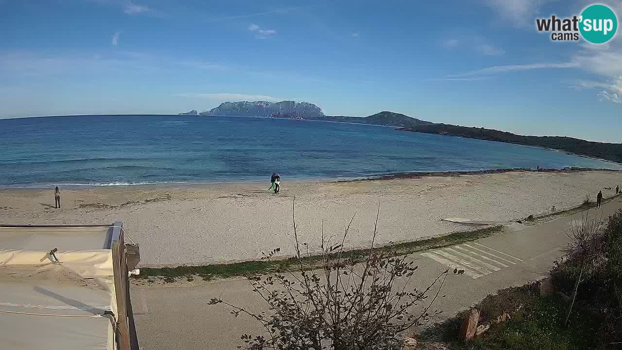 La plage de Pittulongu en direct webcam Olbia – Sardaigne – Italie