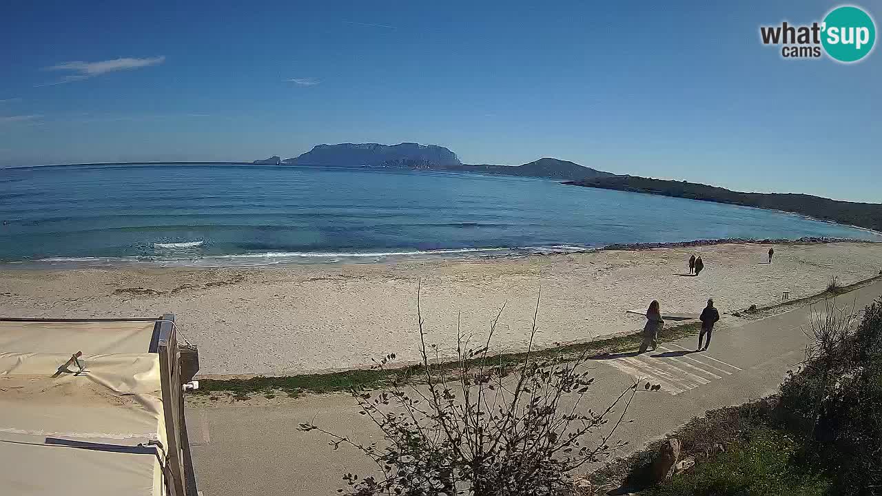 Plaža Pittulongu spletna kamera v živo Olbia – Sardinija – Italija