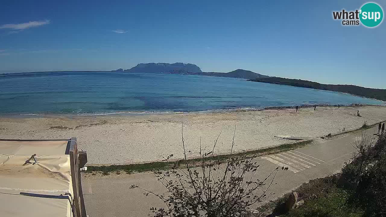 Der Strand von Pittulongu Live-Webcam Olbia – Sardinien – Italien