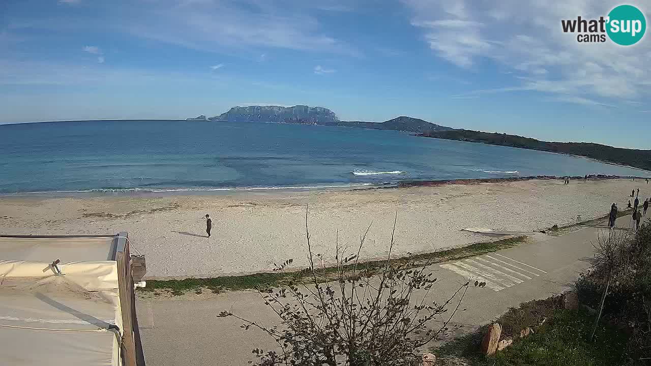 La playa de Pittulongu webcam en vivo Olbia – Cerdeña – Italia