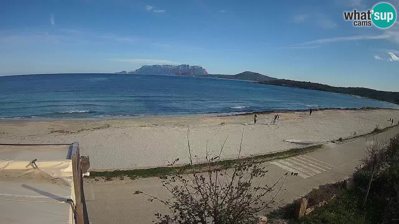 La playa de Pittulongu webcam en vivo Olbia – Cerdeña – Italia