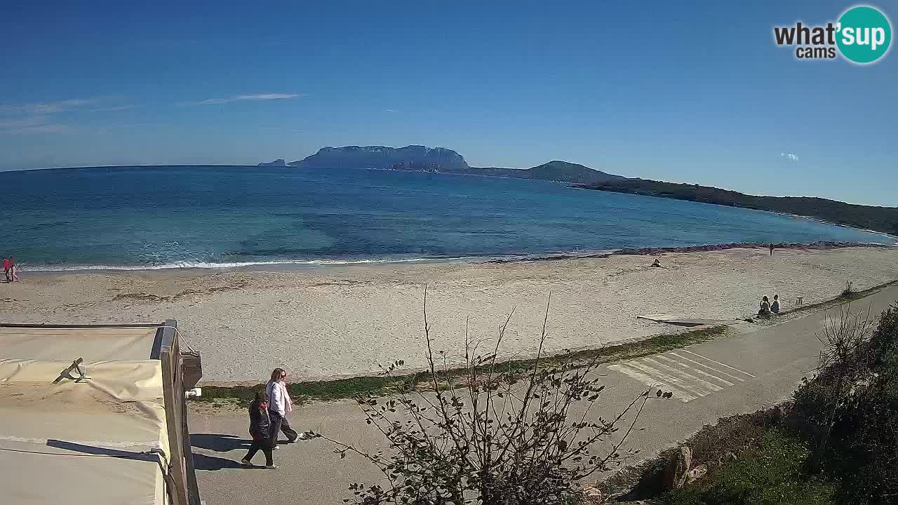 Der Strand von Pittulongu Live-Webcam Olbia – Sardinien – Italien