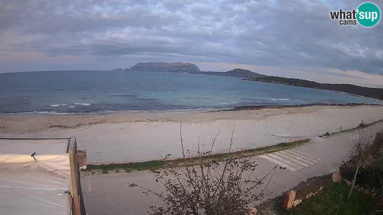 Der Strand von Pittulongu Live-Webcam Olbia – Sardinien – Italien