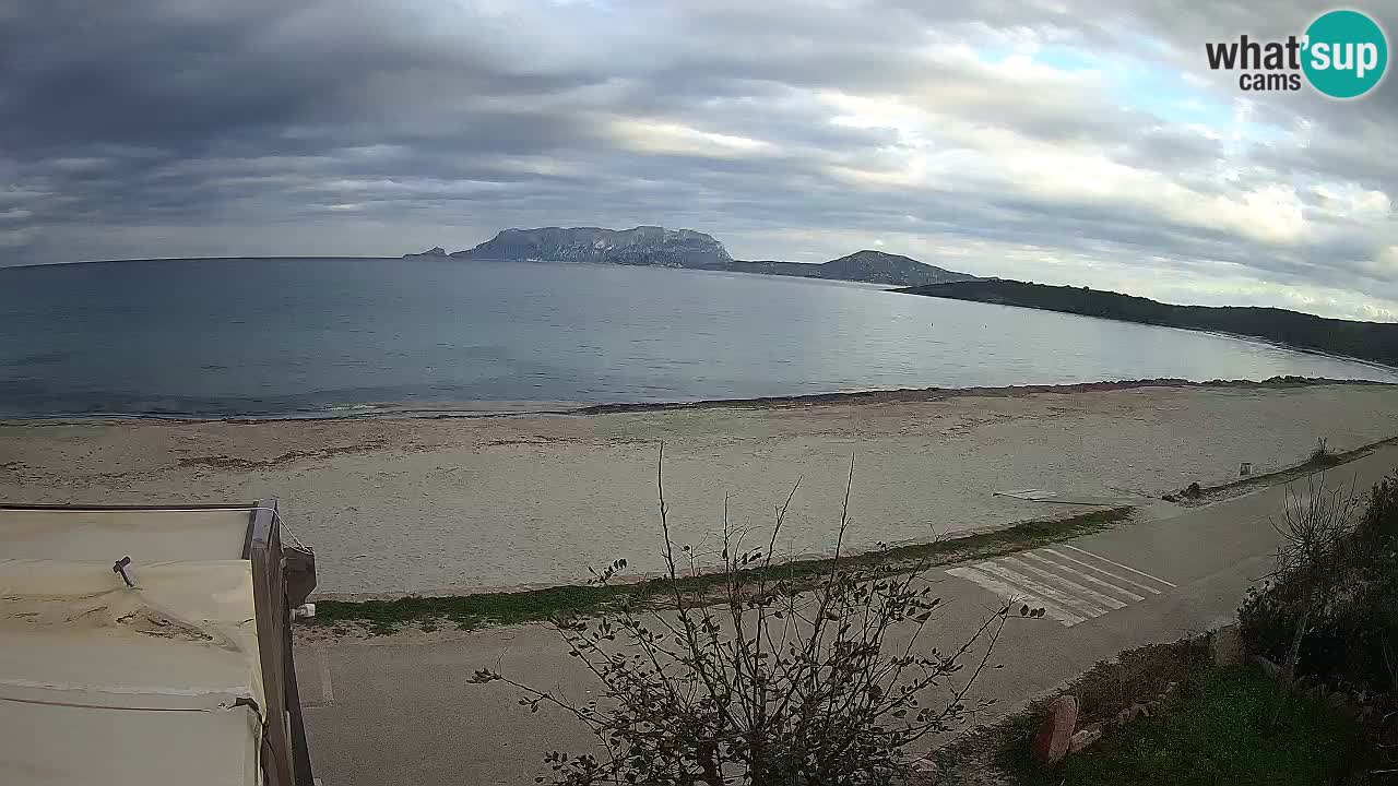 Plaža Pittulongu spletna kamera v živo Olbia – Sardinija – Italija