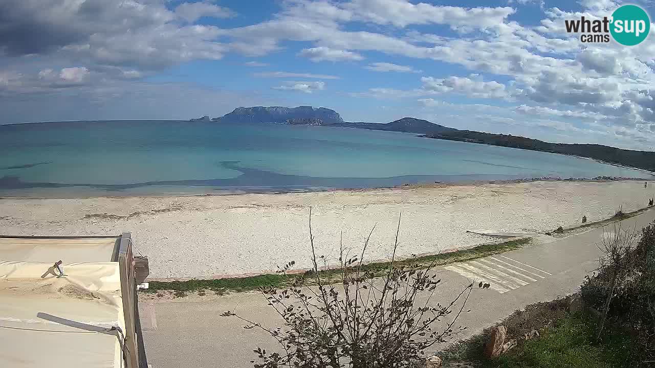 La webcam spiaggia Pittulongu vicino Olbia – Sardegna