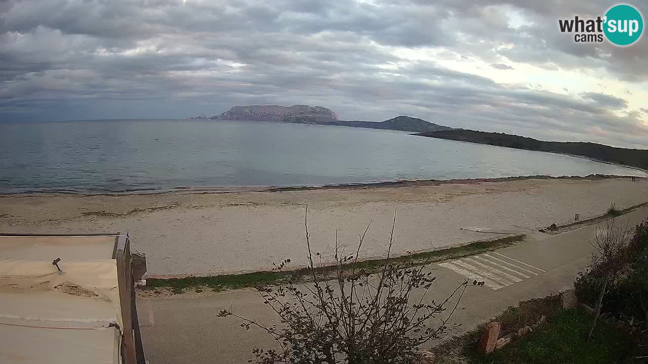 La plage de Pittulongu en direct webcam Olbia – Sardaigne – Italie