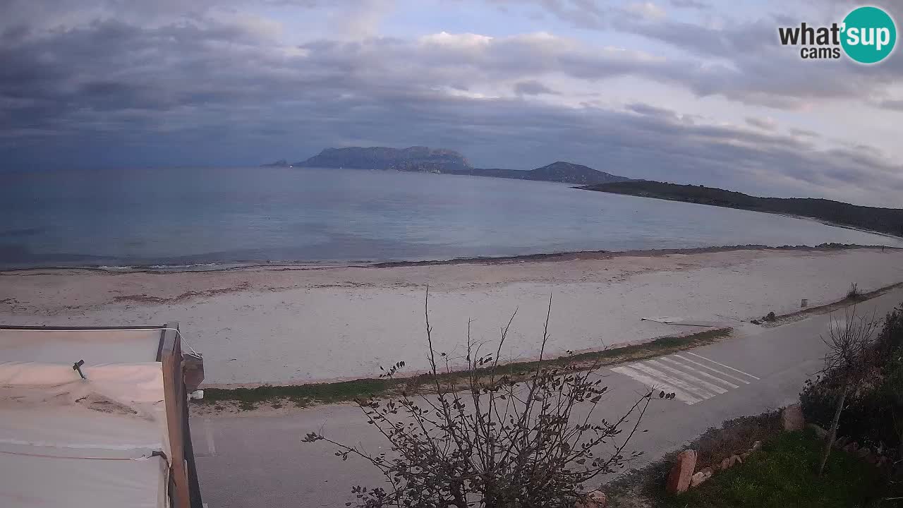 La plage de Pittulongu en direct webcam Olbia – Sardaigne – Italie