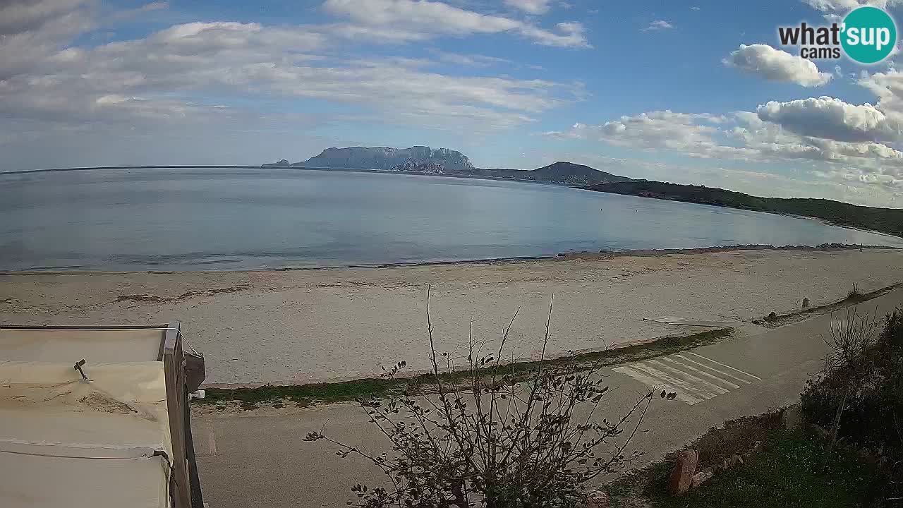 The beach of Pittulongu live webcam Olbia – Sardinia – Italy