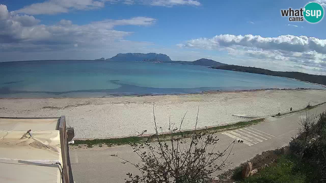 La webcam spiaggia Pittulongu vicino Olbia – Sardegna