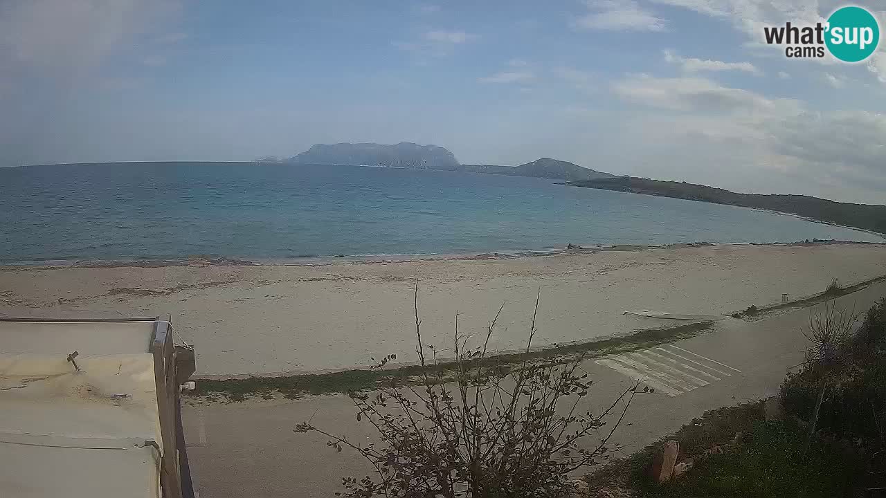 The beach of Pittulongu live webcam Olbia – Sardinia – Italy