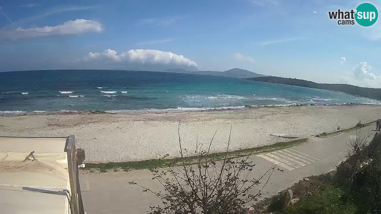 Der Strand von Pittulongu Live-Webcam Olbia – Sardinien – Italien