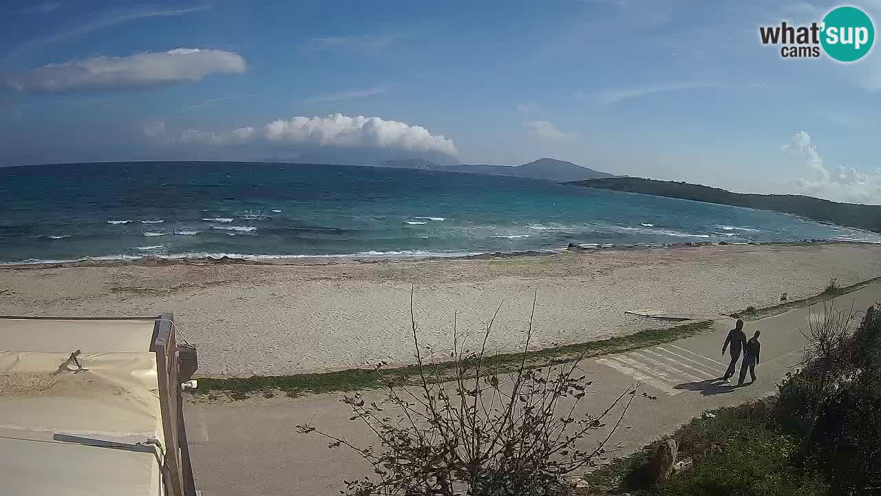 Der Strand von Pittulongu Live-Webcam Olbia – Sardinien – Italien