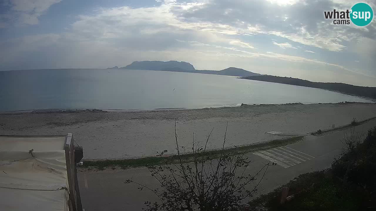 Der Strand von Pittulongu Live-Webcam Olbia – Sardinien – Italien