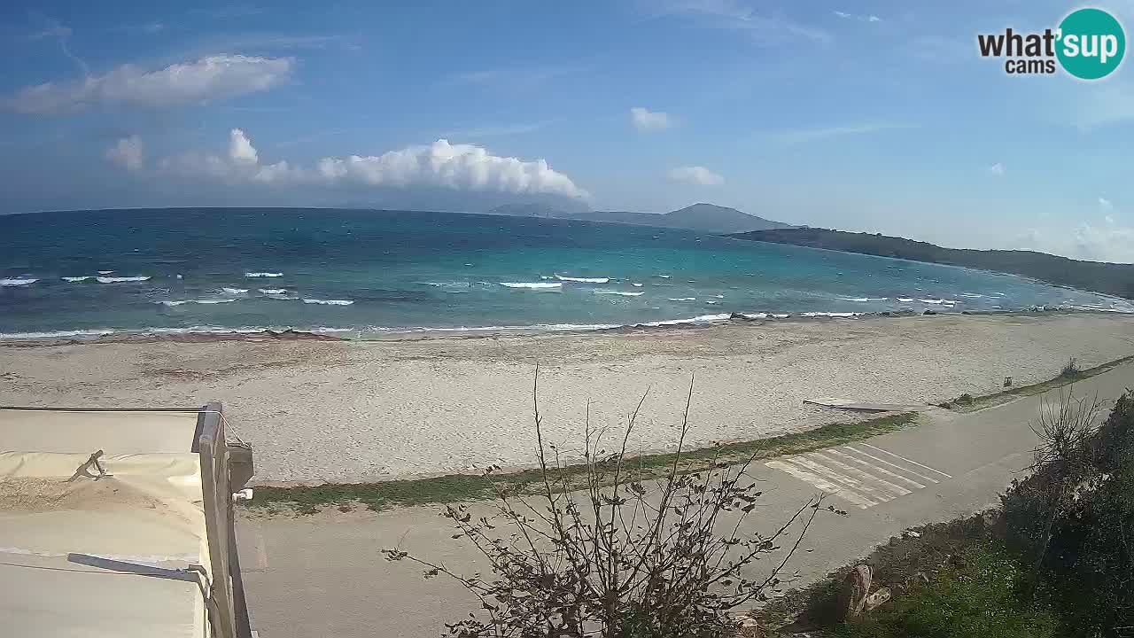 Der Strand von Pittulongu Live-Webcam Olbia – Sardinien – Italien