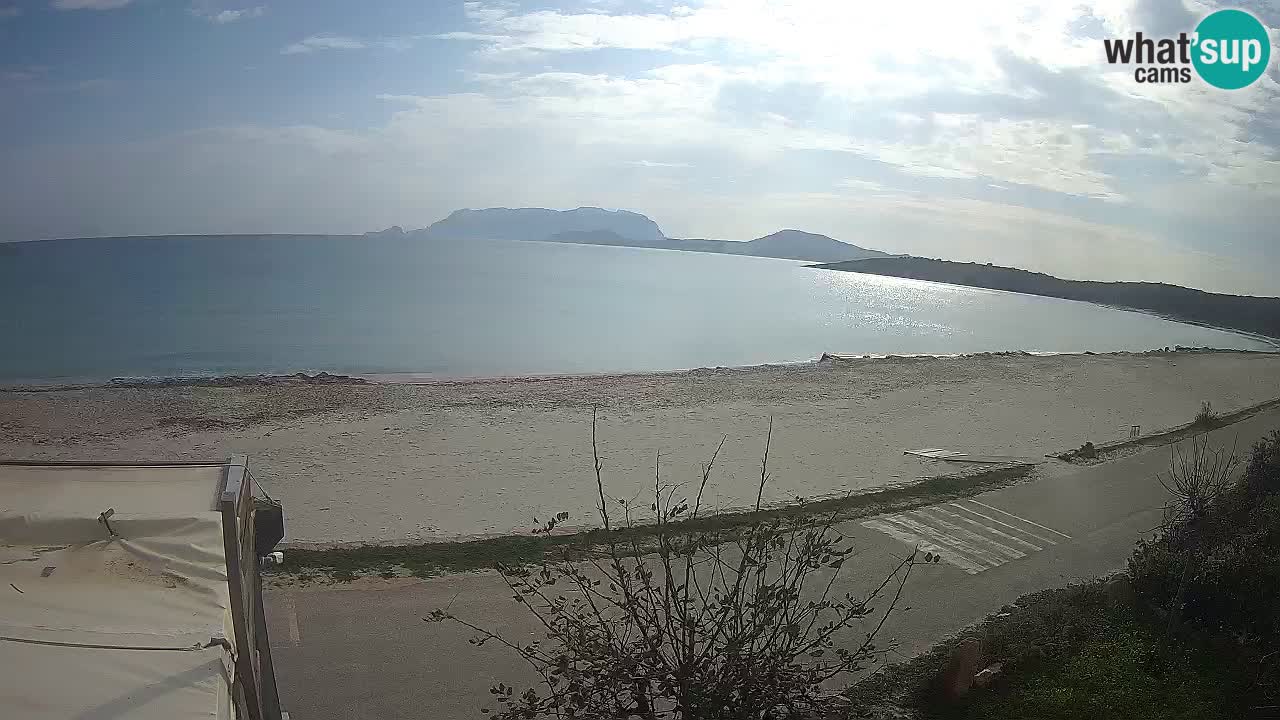 Der Strand von Pittulongu Live-Webcam Olbia – Sardinien – Italien