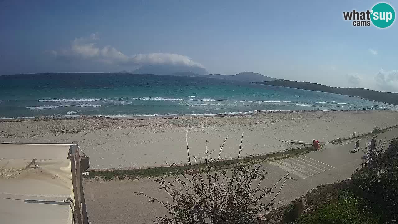 La plage de Pittulongu en direct webcam Olbia – Sardaigne – Italie