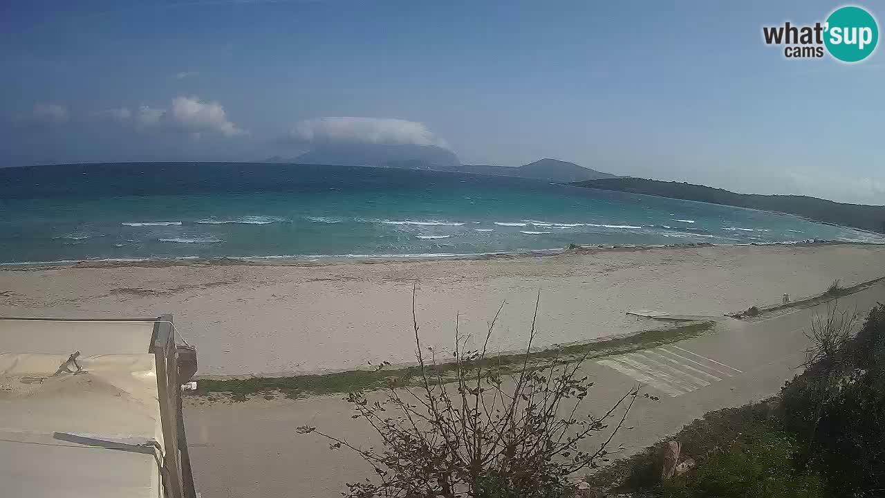 La webcam spiaggia Pittulongu vicino Olbia – Sardegna