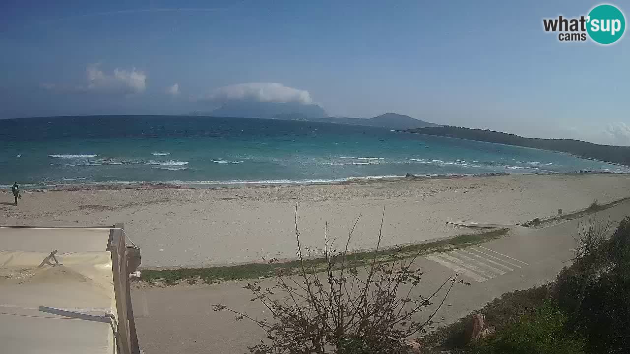 La plage de Pittulongu en direct webcam Olbia – Sardaigne – Italie