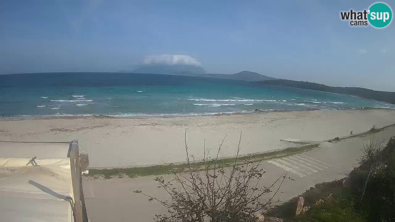 The beach of Pittulongu live webcam Olbia – Sardinia – Italy