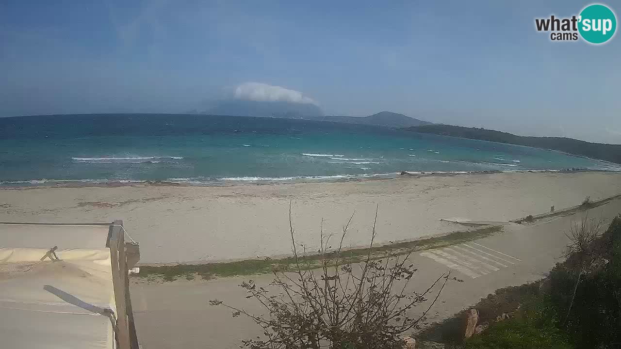 La webcam spiaggia Pittulongu vicino Olbia – Sardegna