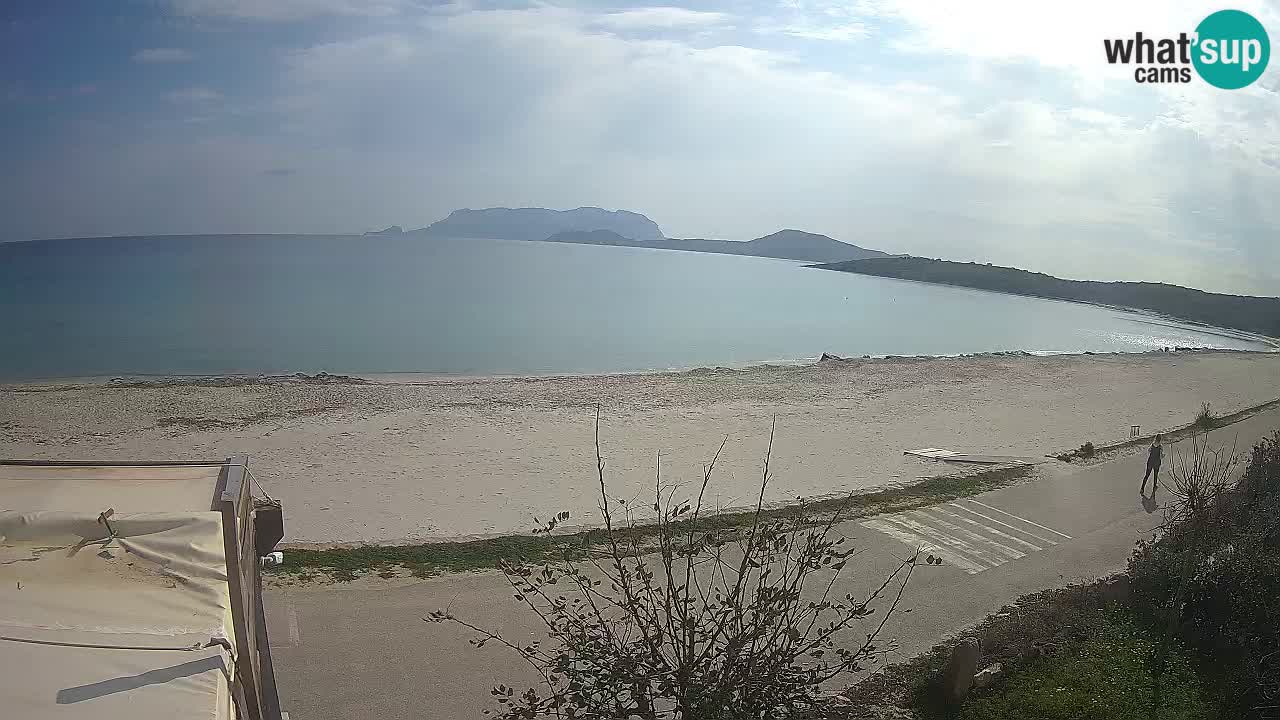 La playa de Pittulongu webcam en vivo Olbia – Cerdeña – Italia