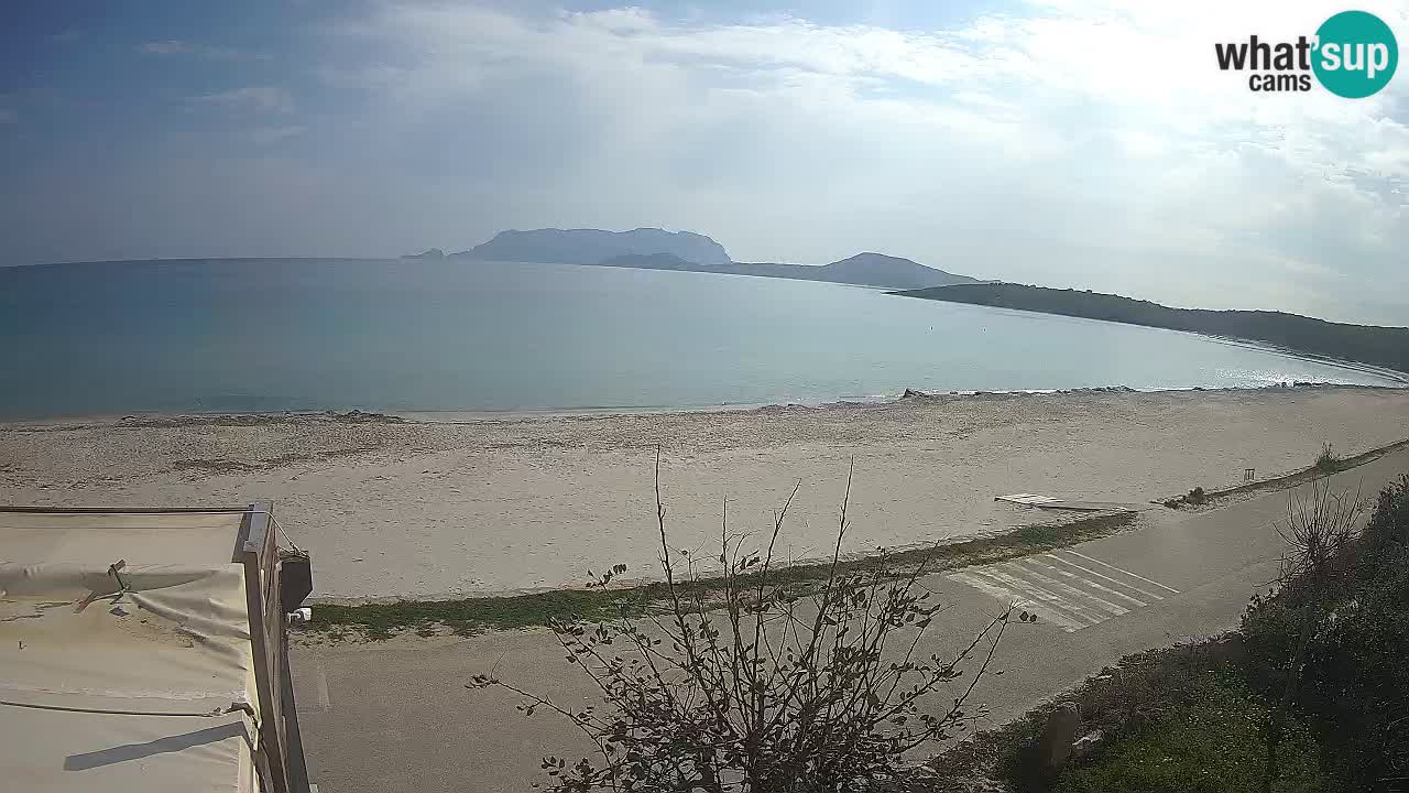 La plage de Pittulongu en direct webcam Olbia – Sardaigne – Italie