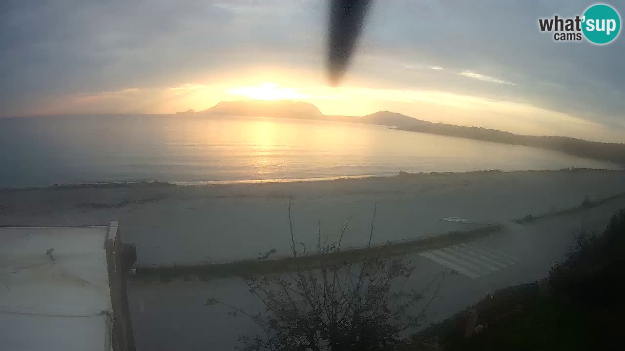 Der Strand von Pittulongu Live-Webcam Olbia – Sardinien – Italien