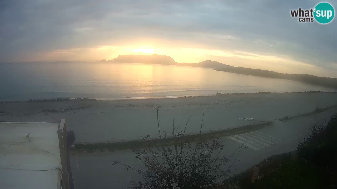 The beach of Pittulongu live webcam Olbia – Sardinia – Italy