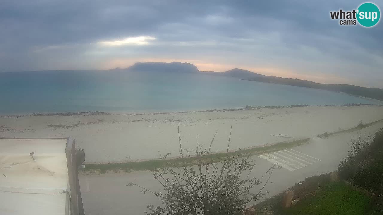 The beach of Pittulongu live webcam Olbia – Sardinia – Italy