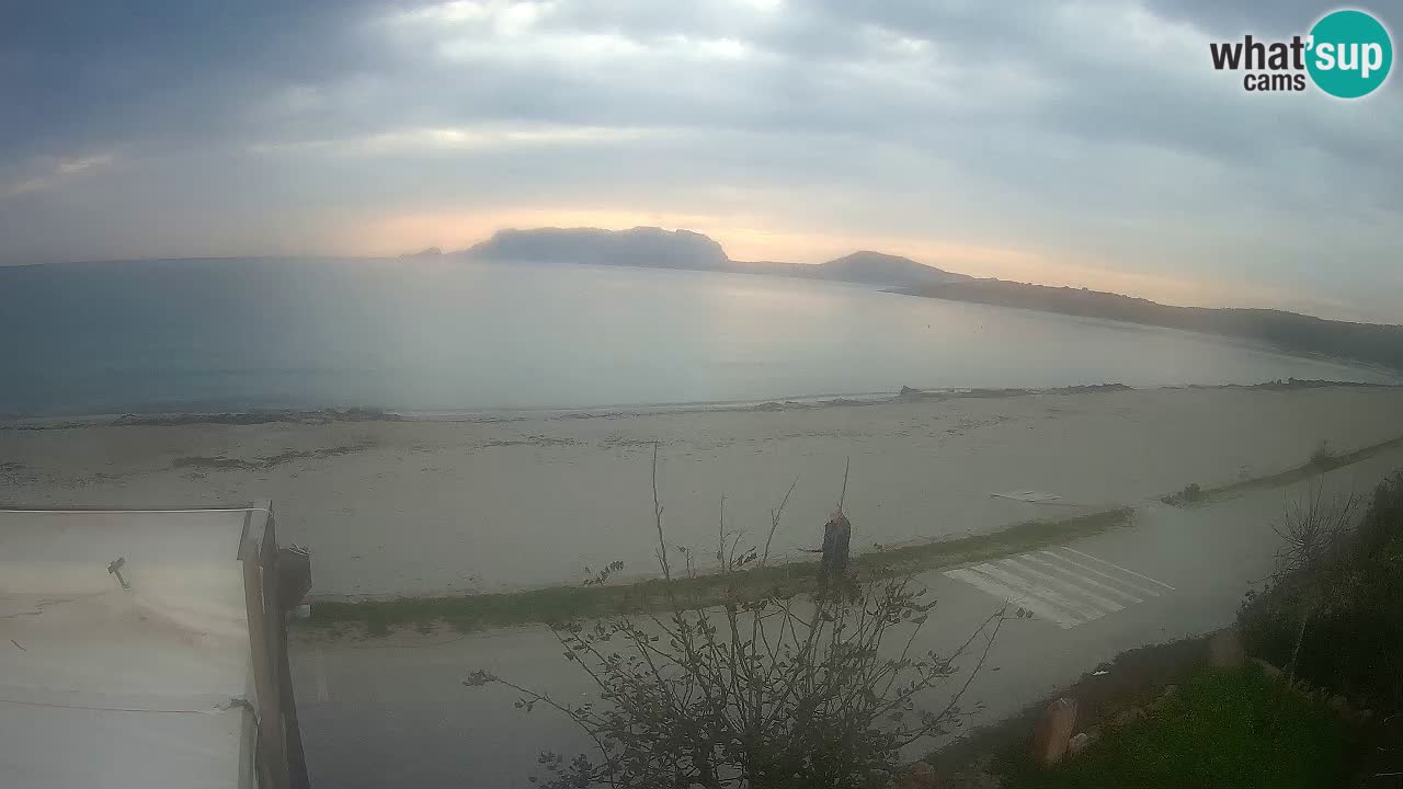 Der Strand von Pittulongu Live-Webcam Olbia – Sardinien – Italien