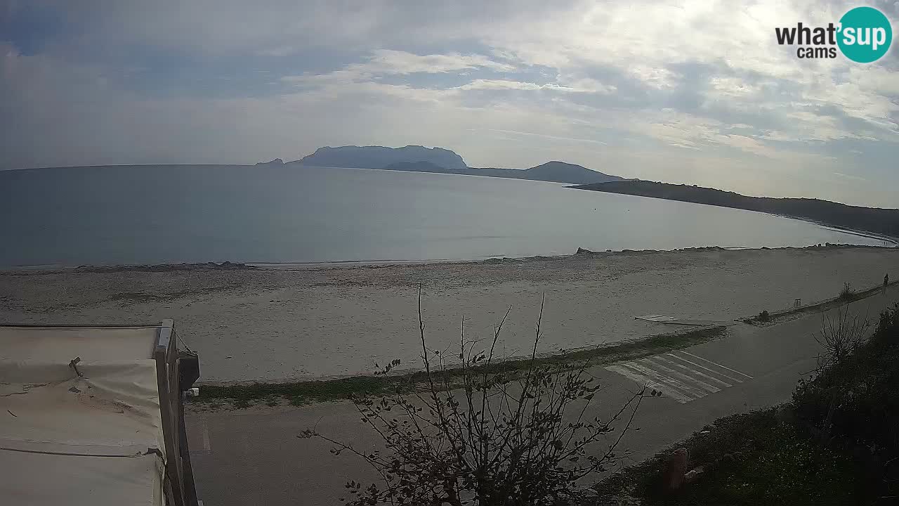 Der Strand von Pittulongu Live-Webcam Olbia – Sardinien – Italien