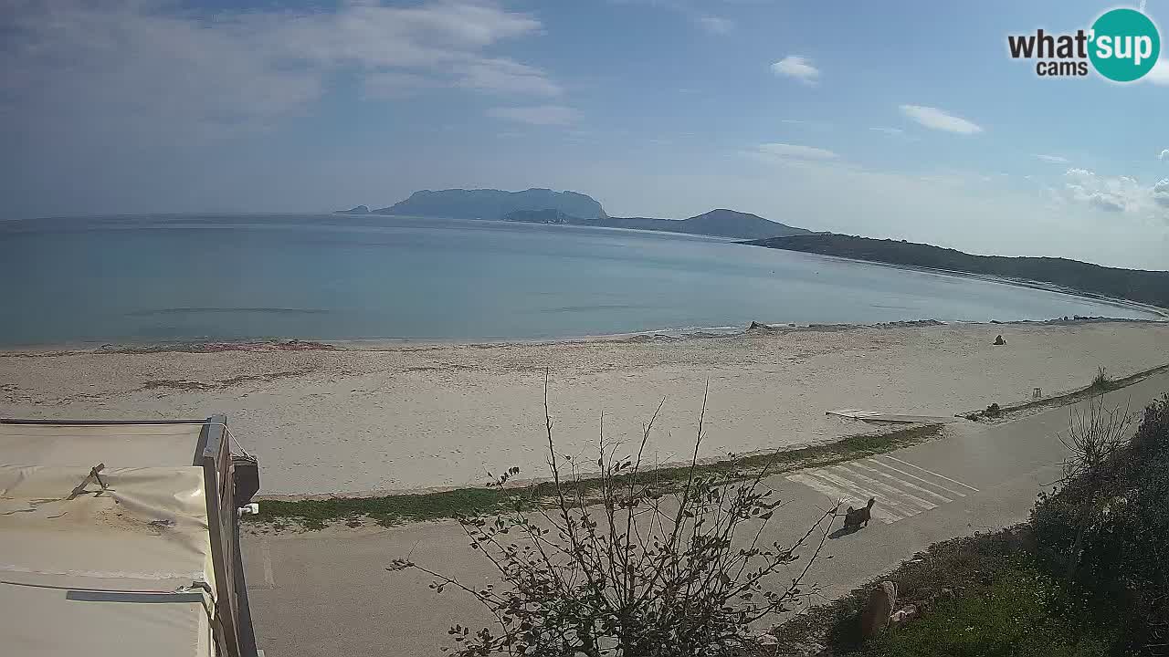 The beach of Pittulongu live webcam Olbia – Sardinia – Italy