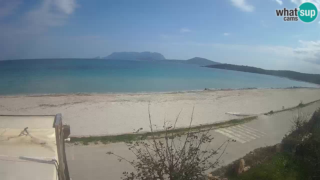 La webcam spiaggia Pittulongu vicino Olbia – Sardegna