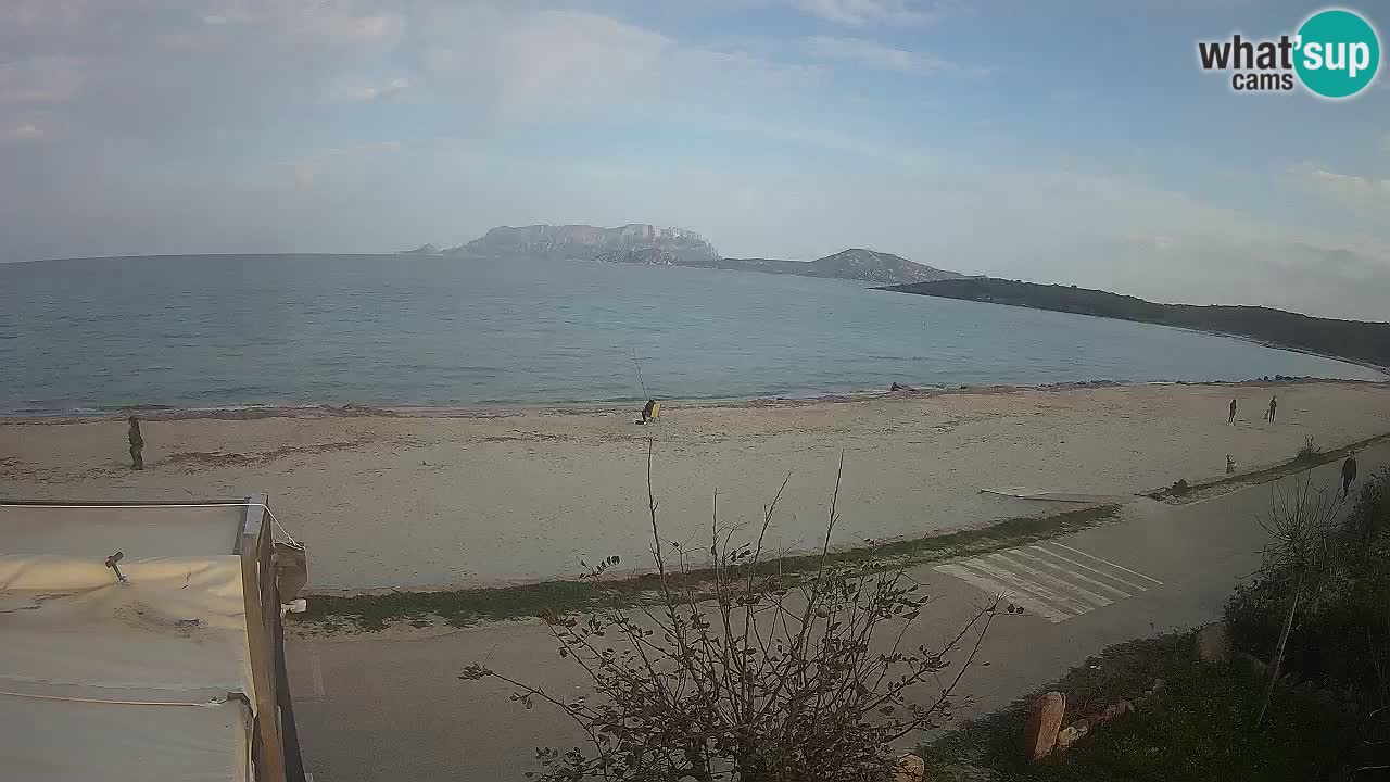 The beach of Pittulongu live webcam Olbia – Sardinia – Italy