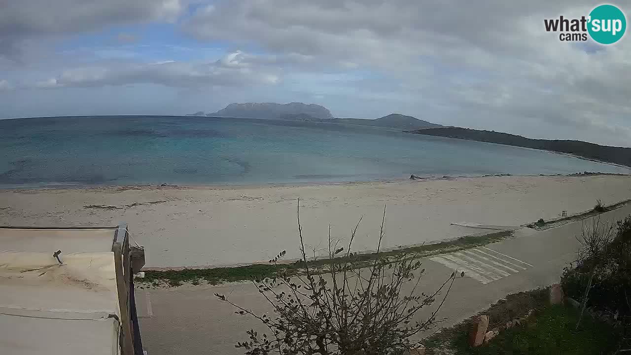 La playa de Pittulongu webcam en vivo Olbia – Cerdeña – Italia