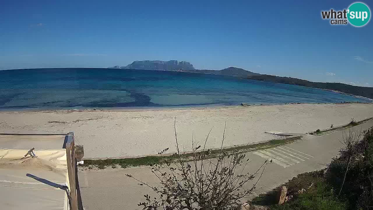 The beach of Pittulongu live webcam Olbia – Sardinia – Italy