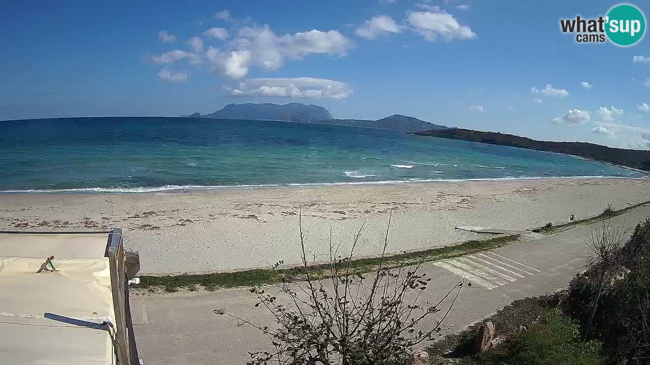 La playa de Pittulongu webcam en vivo Olbia – Cerdeña – Italia