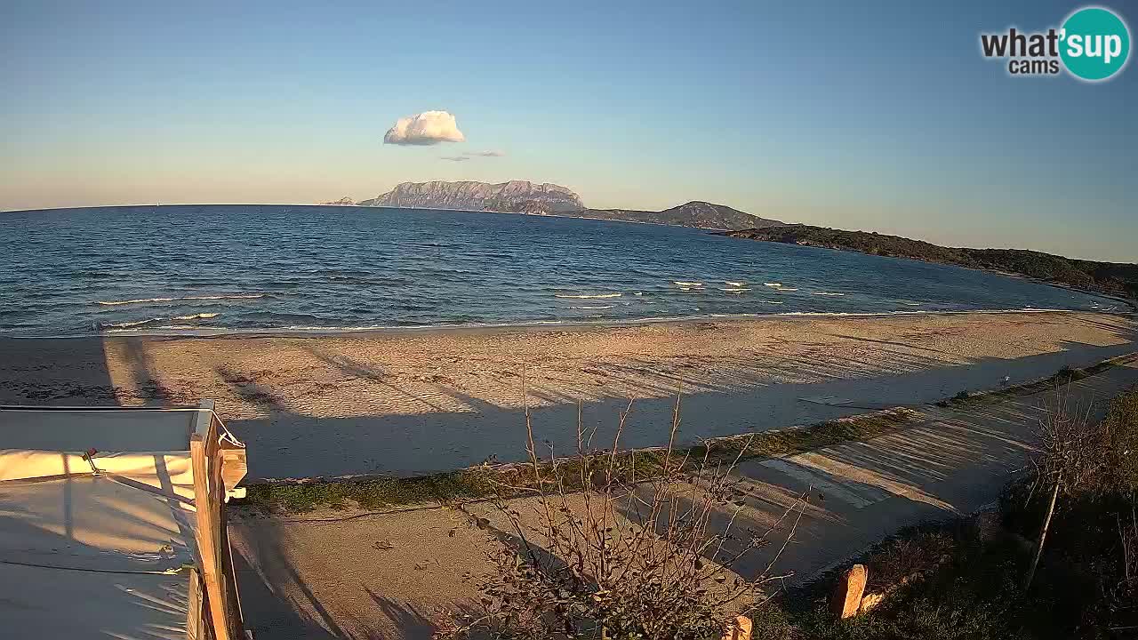 Plaža Pittulongu spletna kamera v živo Olbia – Sardinija – Italija